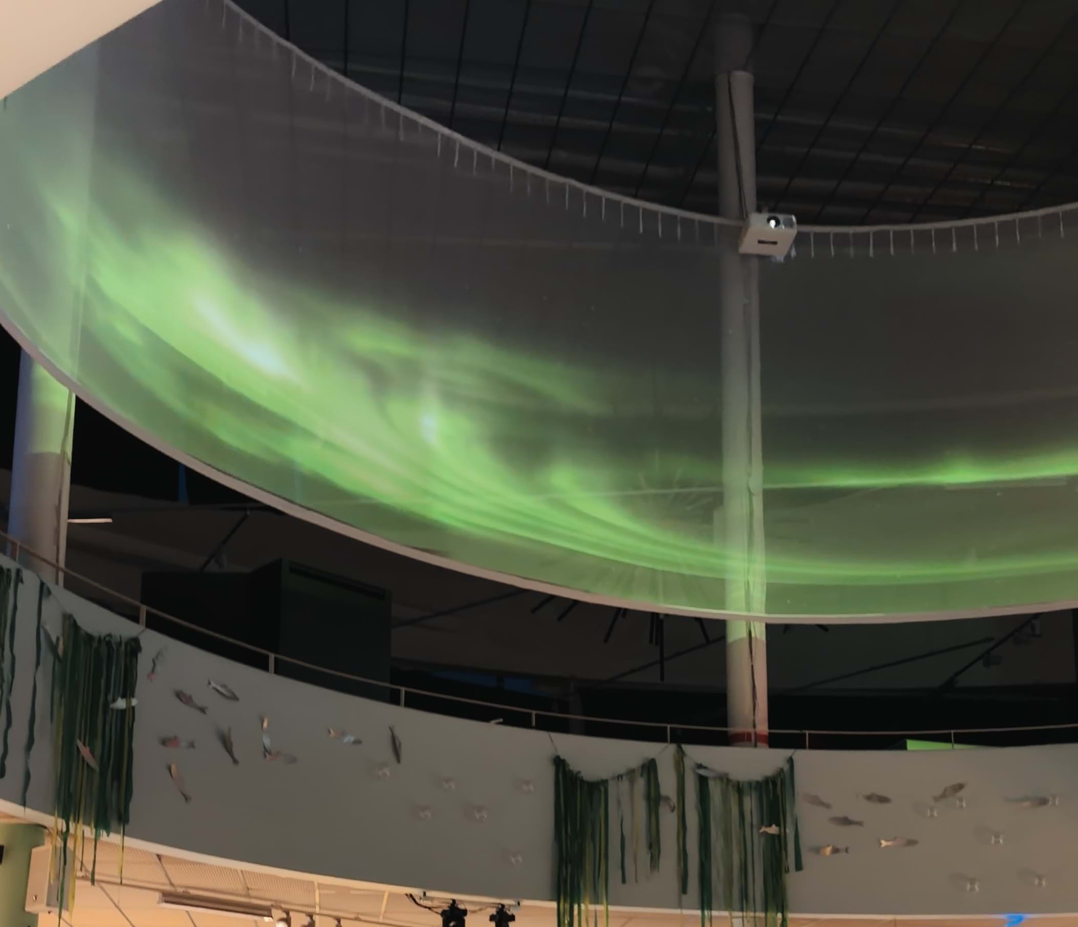 Still 2026 01 29 123740 1.32.1