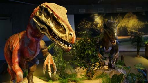 Dinosauria 04122