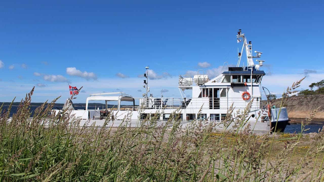 Ny Vigra III på Singløya