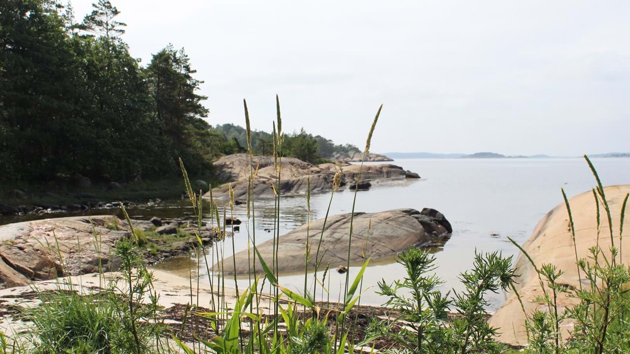 Skjærgårdscruise med MS Ny Vigra III